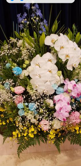 「花の店おおしま」　（秋田県横手市）の花屋店舗写真3