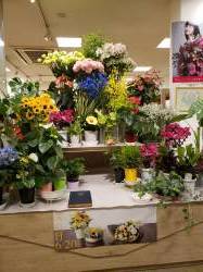 「花の店おおしま」　（秋田県横手市）の花屋店舗写真4