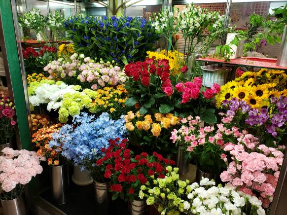 「花の店おおしま」　（秋田県横手市）の花屋店舗写真2